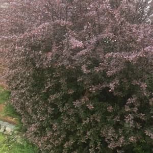 Meet your Posher, Nely